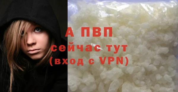 шишки Пересвет